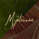UNTOLD Fragrance Facets: Myserious